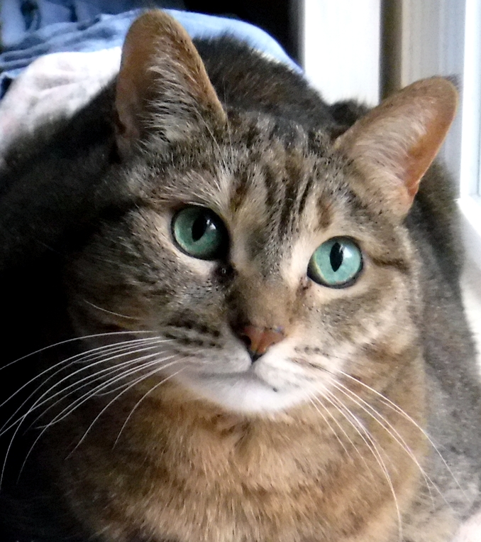 Here's lookin' at you, Dad